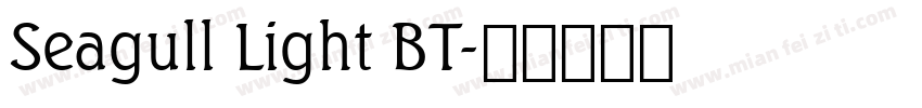 Seagull Light BT字体转换